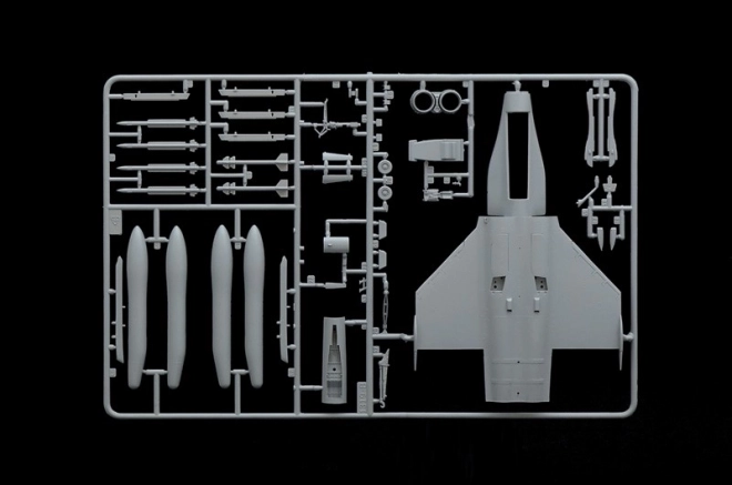 Plastikmodell Rafale M Operations Exterieures