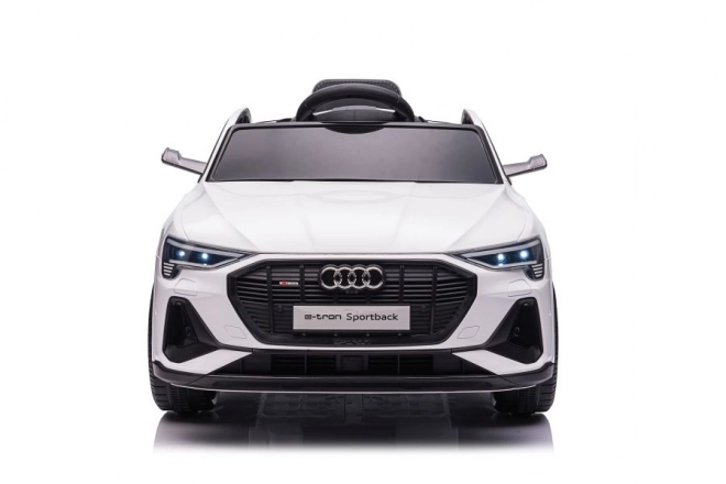 Audi E-Tron Autobatterie Weiß QLS-6688