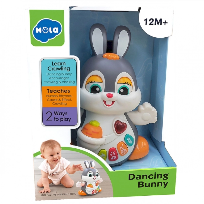 Tanzender Hase von Hola