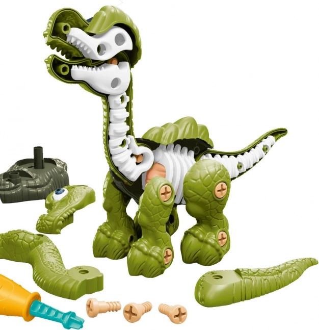 Schraubbare Dinosaurierskelett grün