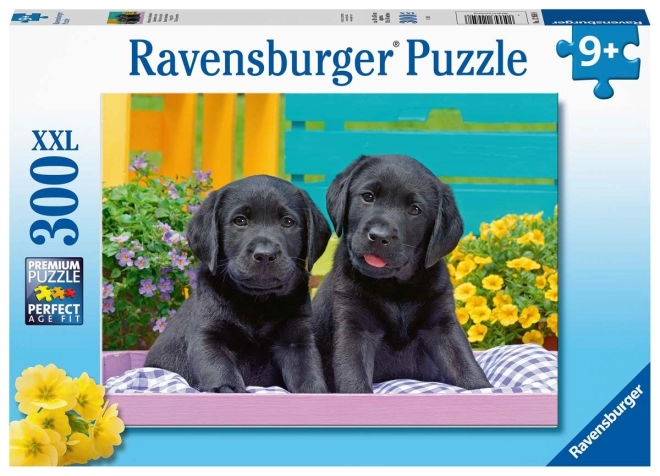 Ravensburger Puzzle Schwarze Labradore XXL 300 Teile