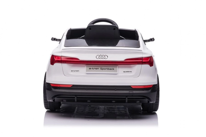 Audi E-Tron Autobatterie Weiß QLS-6688