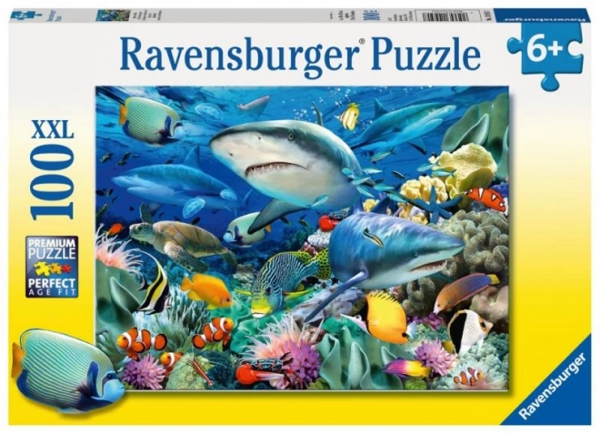 Puzzle Tauchgang auf dem Riff