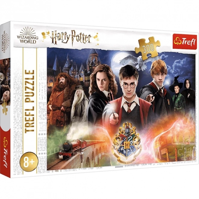 Mystery Harry Potter Puzzle 300 Teile