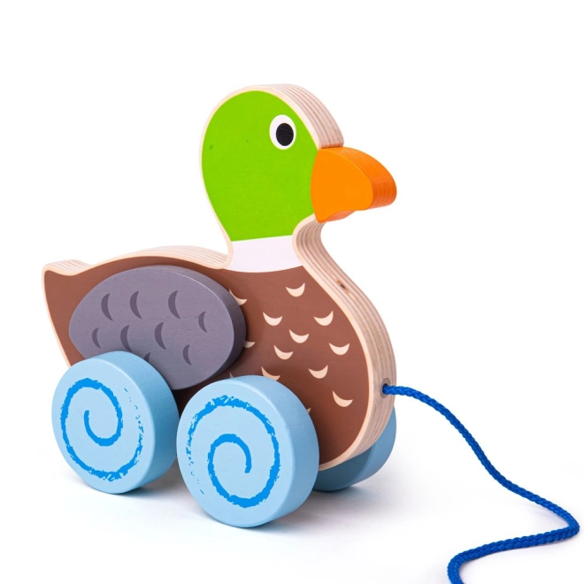 Watschelnde Bewegung und bewegliche Flügel