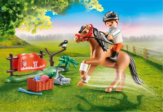 Playmobil Sammlerset Connemara Pony