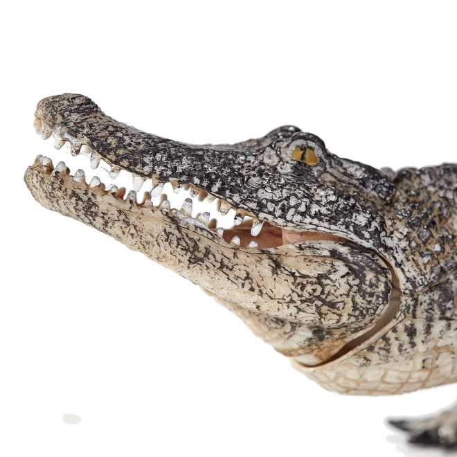 Realistische Alligator Figurine von Mojo