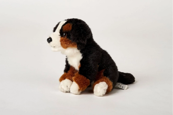 Plüsch Berner Sennenhund 16 cm