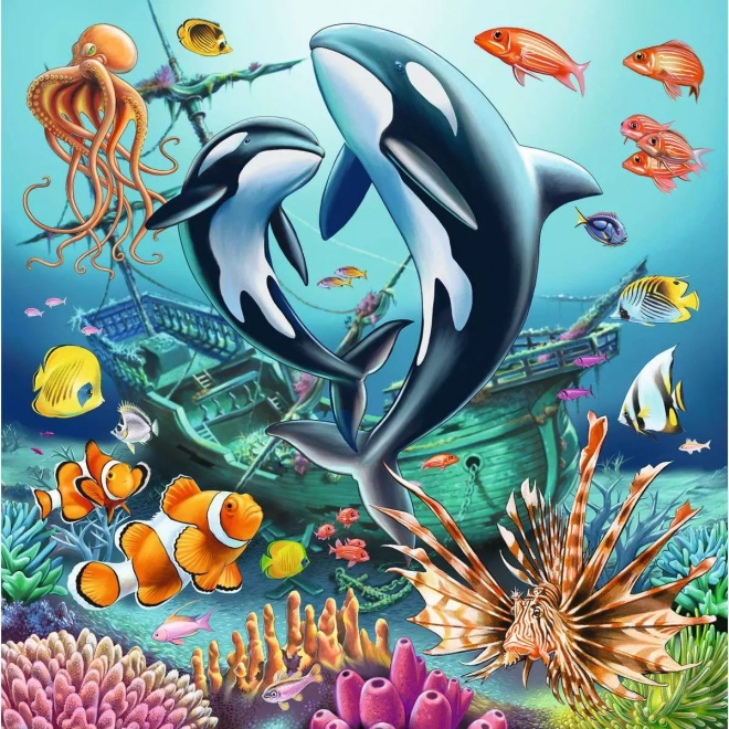 Puzzle Leben unter Wasser 3x49 Stücke
