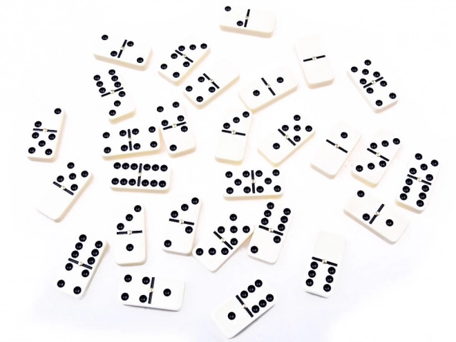 Elegantes Domino Spiel im Lederbox