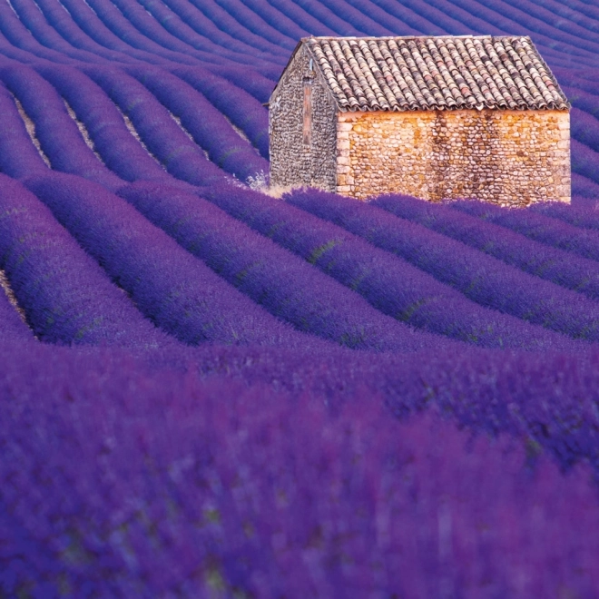 Notizkalender Provence 2026