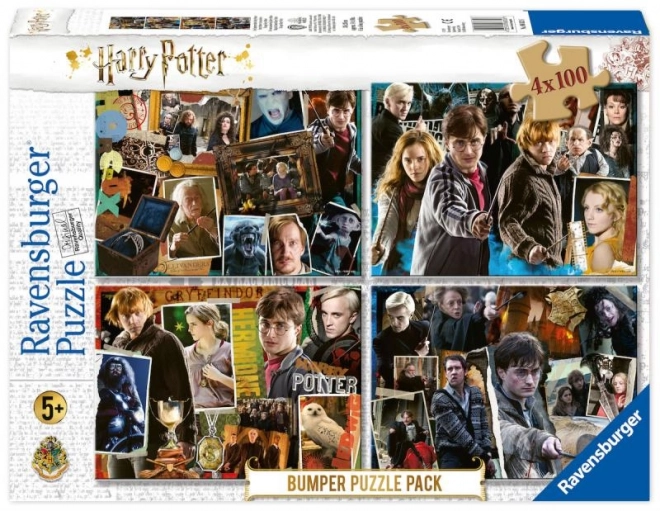 Harry Potter Puzzle Set 4x100 Teile