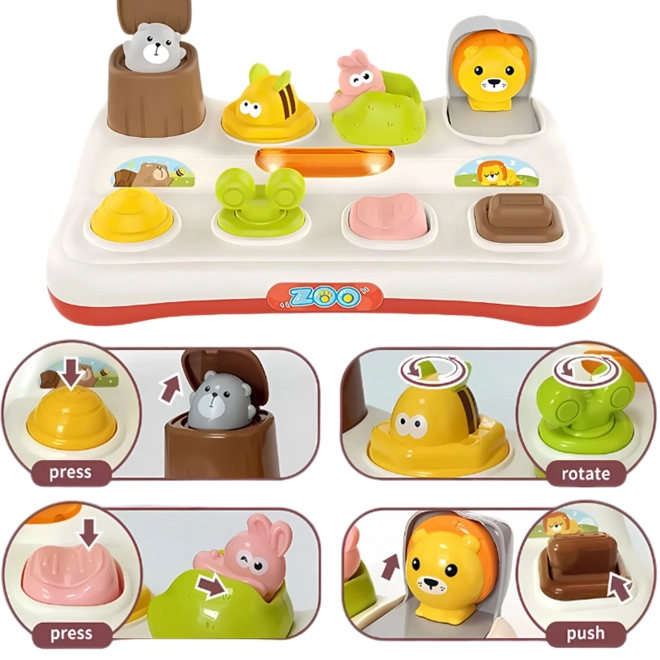 Interaktives Zoo Pop-up Spielzeug von Woopie