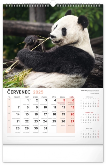 Wandkalender Faszinierende Tiere 2025