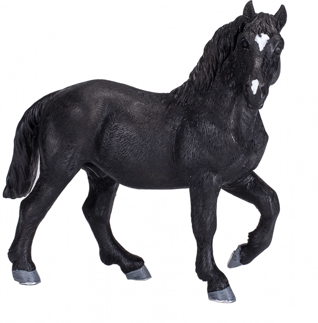 Mojo Percheron Pferd