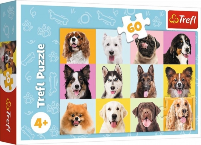 Süße Hunde Puzzle 60 Teile