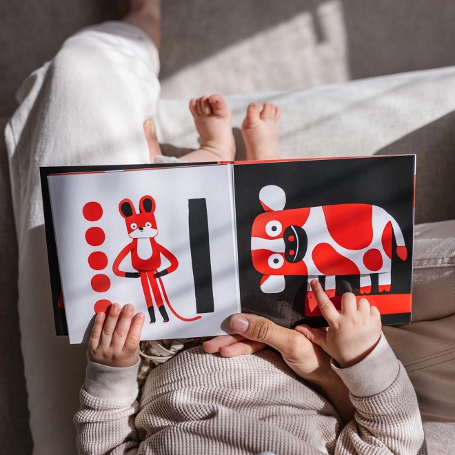 Ababu Kontrast-Bilderbuch für Babys mit Illustrationen von Patrik Antczak