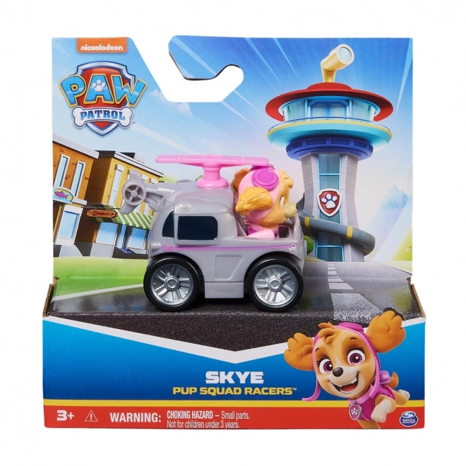 Mini Spielzeugauto mit Figur PAW Patrol