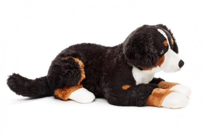 Plüsch Berner Sennenhund 65 cm