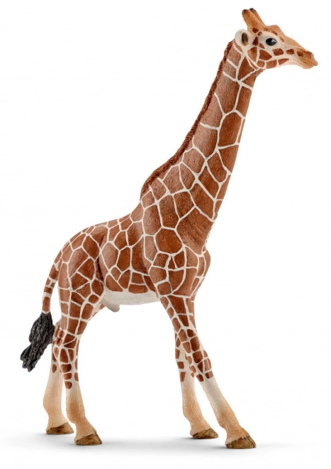 Schleich Wilde Tiere Giraffenmännchen Figur