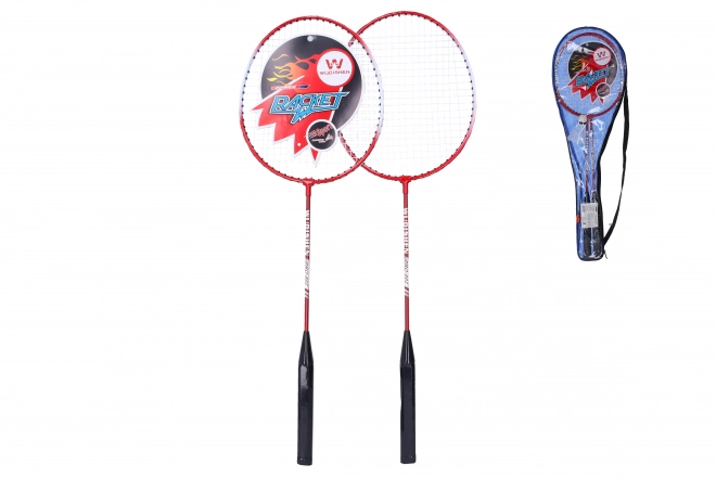 Badmintonspiel-Set für den Sommer