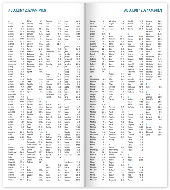 Notizbuch Blau 2025 Monatlich