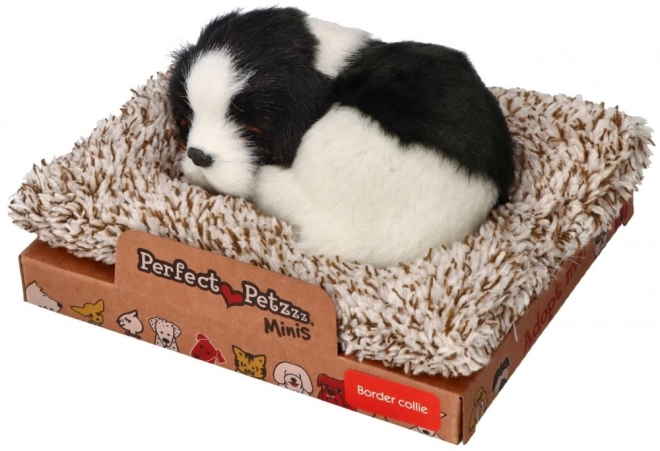 Schlafender Border Collie auf dem Hundebett