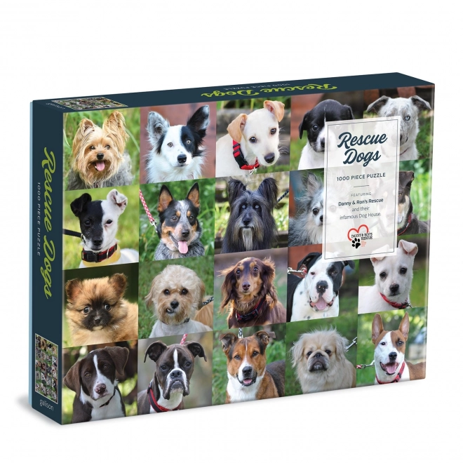 Galison Puzzle Hunde aus dem Tierheim 1000 Teile