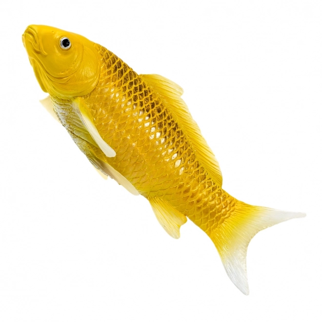 Mojo Karpfen Koi Matsuba