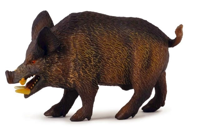 Wildschwein Figurine von COLLECTA