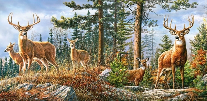 Puzzle Königliche Hirschfamilie 4000 Teile