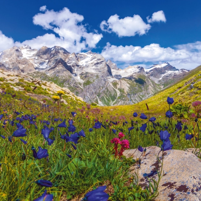 Notizkalender Alpen 2025