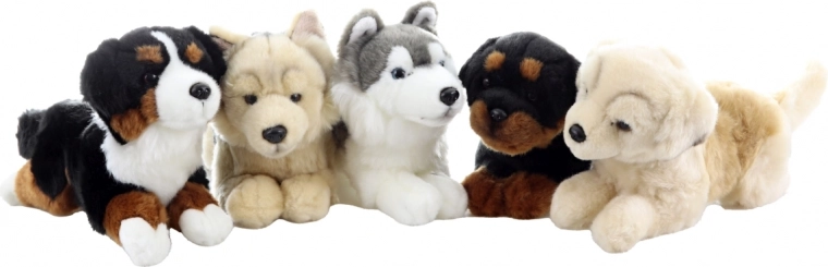 Realistisches Aussehen in mehreren Rassen