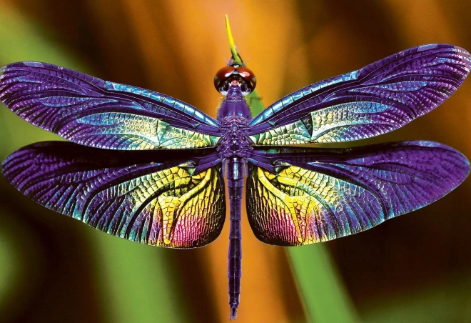 Puzzle Bunte Natur: Libelle 250 Teile