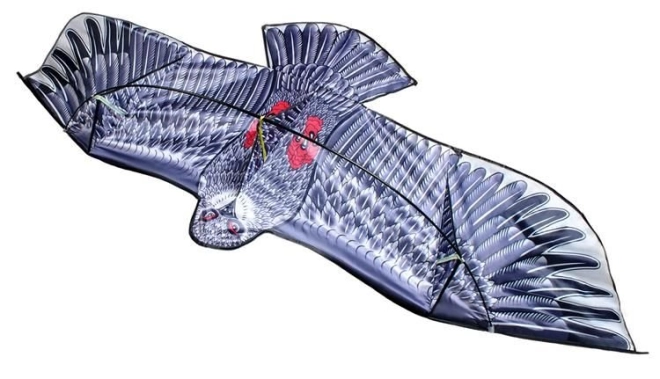 Ökologische Ernteschutz