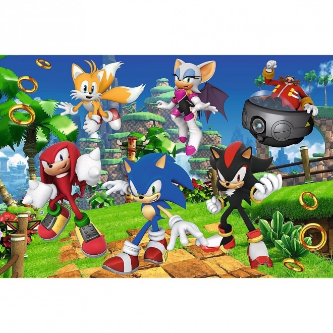 Puzzle 160 Teile Sonic und Freunde