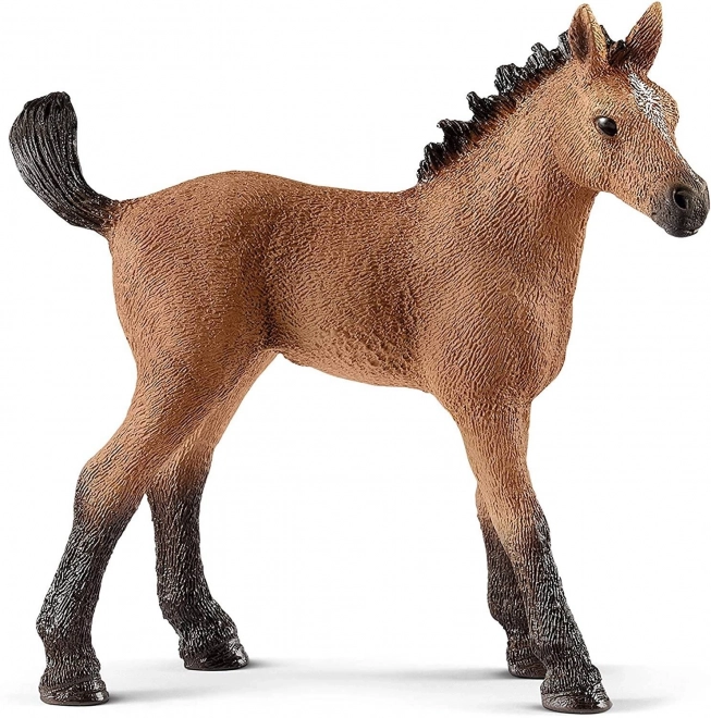 Schleich Quarter Horse Fohlen