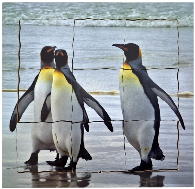 Pinguin Lebenszyklus Schichtpuzzle aus Holz