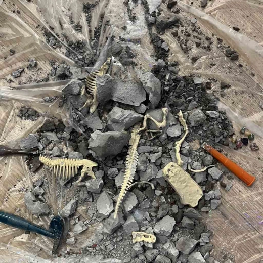 Archäologische Dinosaurier-Ausgrabung