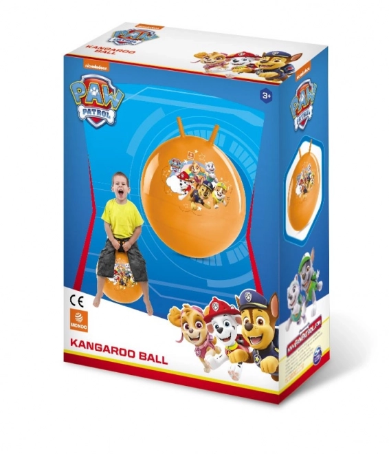 Hüpfball Paw Patrol