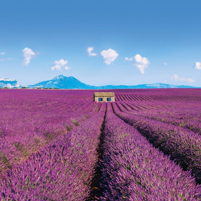 Notizkalender Provence 2026