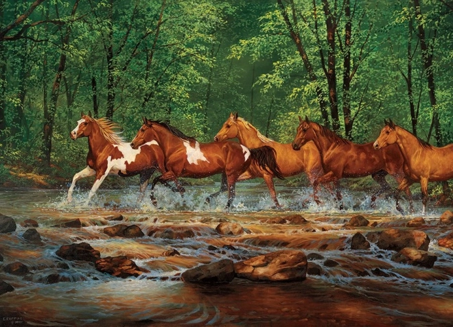 Puzzle Klus in Spring Creek 1000 Teile