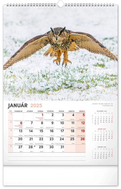 Notique Jagdkalender 2025