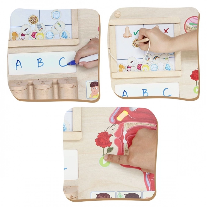 Montessori-Duftsinn Lernbrett von Masterkidz
