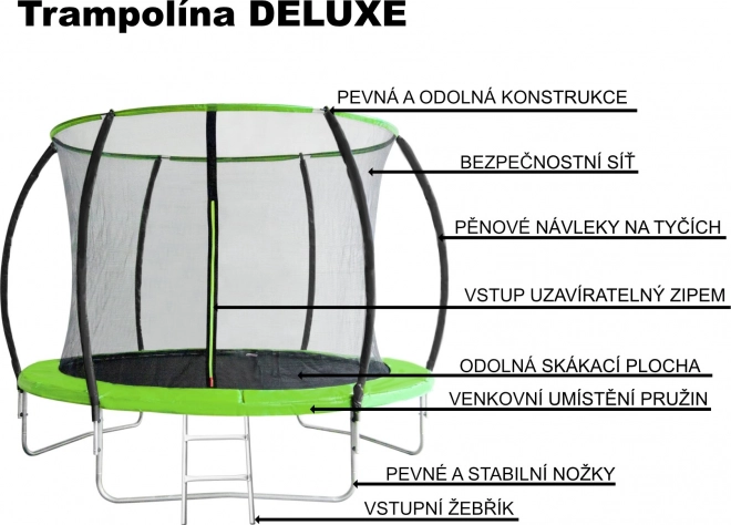 Trampolin Deluxe 244 cm mit Sicherheitsnetz und Leiter