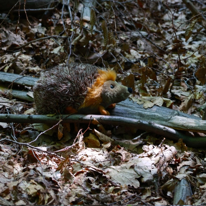 Kuschelweicher Plüschigel 23 cm - Ecofreundlich