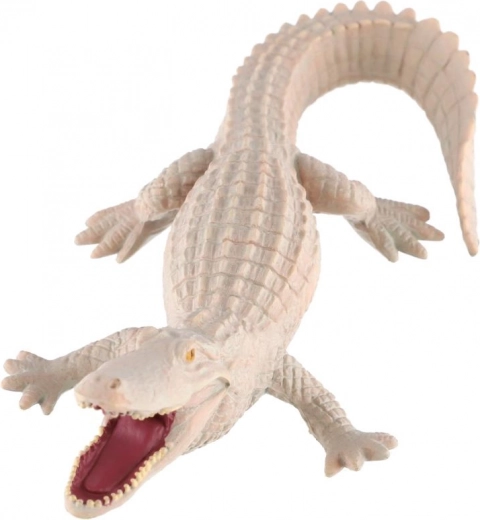 Bildungswert zur seltenen Färbung