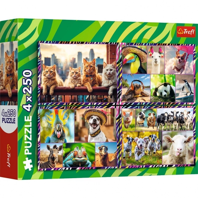 Puzzleset 4x250 Lustige Tiere