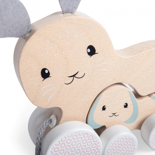 Bigjigs Toys Nachzieh-Hase mit Baby