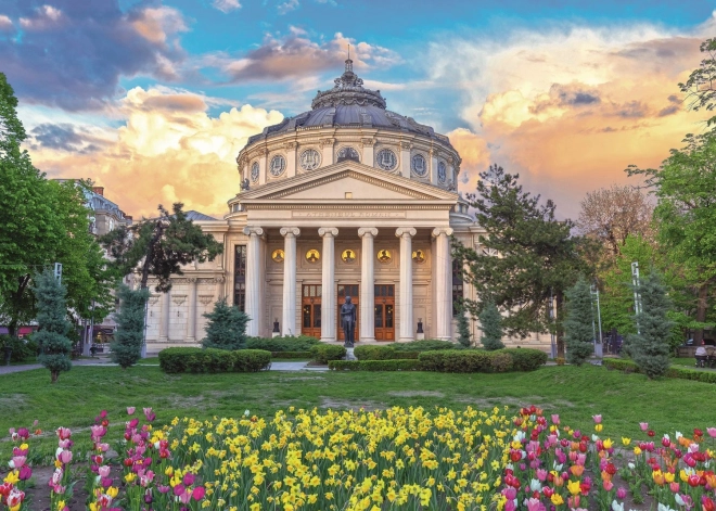 Trefl Puzzle Gold Edition: Rumänisches Athenäum, Bukarest